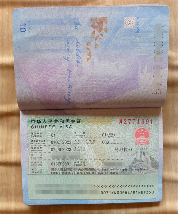 中國入境帶藥