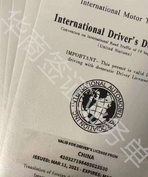 菲律賓駕照國際駕照圖片樣式