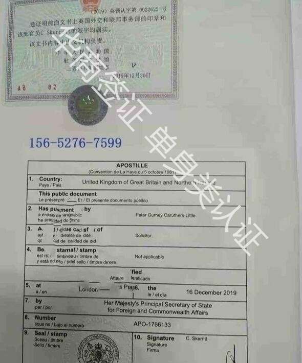 辦理菲律賓的什么簽證需要提供單身證明？